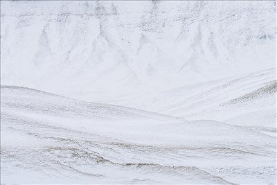 Winter Fabric