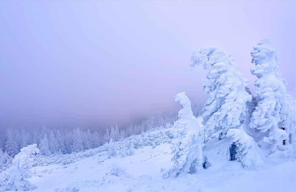 Winter burden