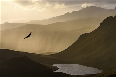 In flight