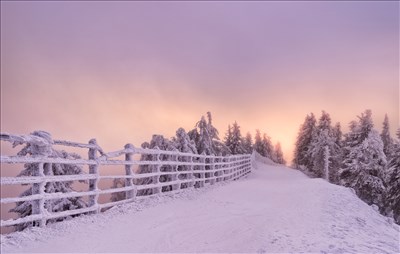 Winter light